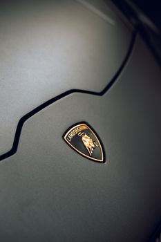 Detail of sleek luxury car hood with a focus on the emblem.