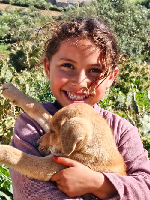 Free Smiling child holding a puppy outdoors on a sunny day. Perfect stock image for happiness and companionship themes. Stock Photo