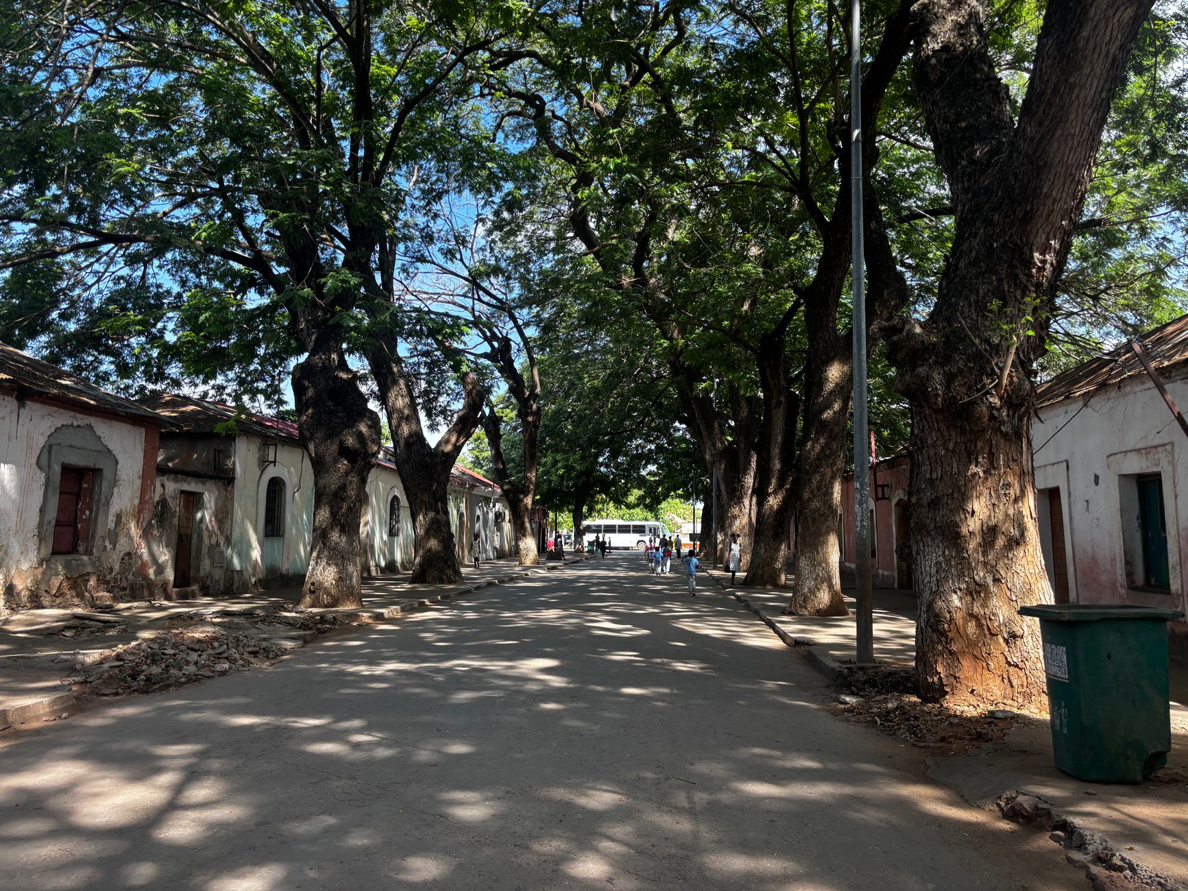 Charming tree-lined street with traditional buildings in a historic Angolan village under a bright blue sky.