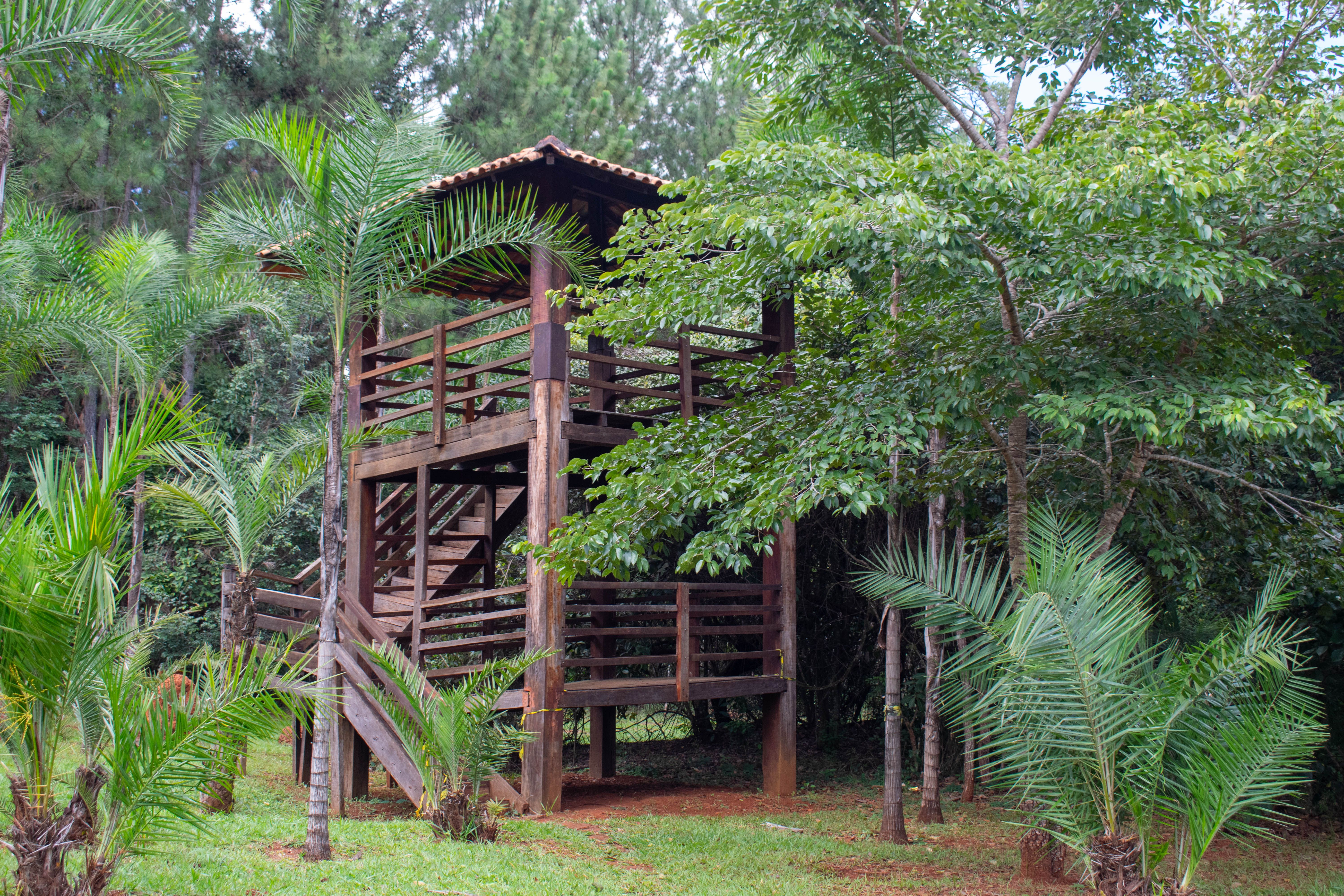 Terrasse rustique en bois nichée au cœur d'une végétation luxuriante dans une forêt brésilienne.
