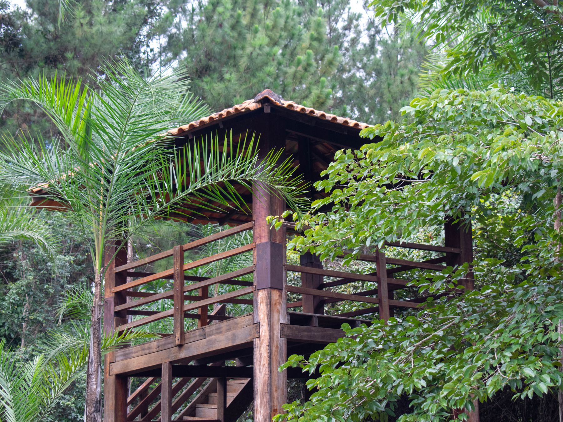 Fence and Decking Painting in Leaves Green — quality trade paint going on in two coats