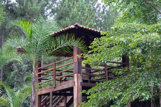 A rustic wooden lookout tower surrounded by lush greenery in the Brazilian jungle.