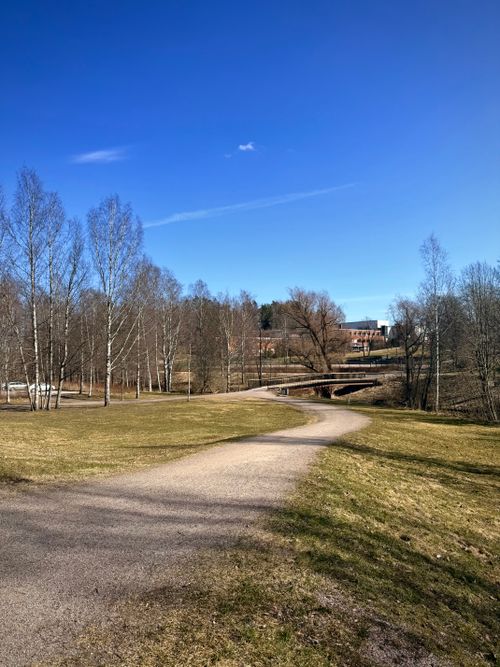 Free Peaceful park landscape in Nuuksio, Finland, with a winding path and bare trees under a clear blue sky. Stock Photo