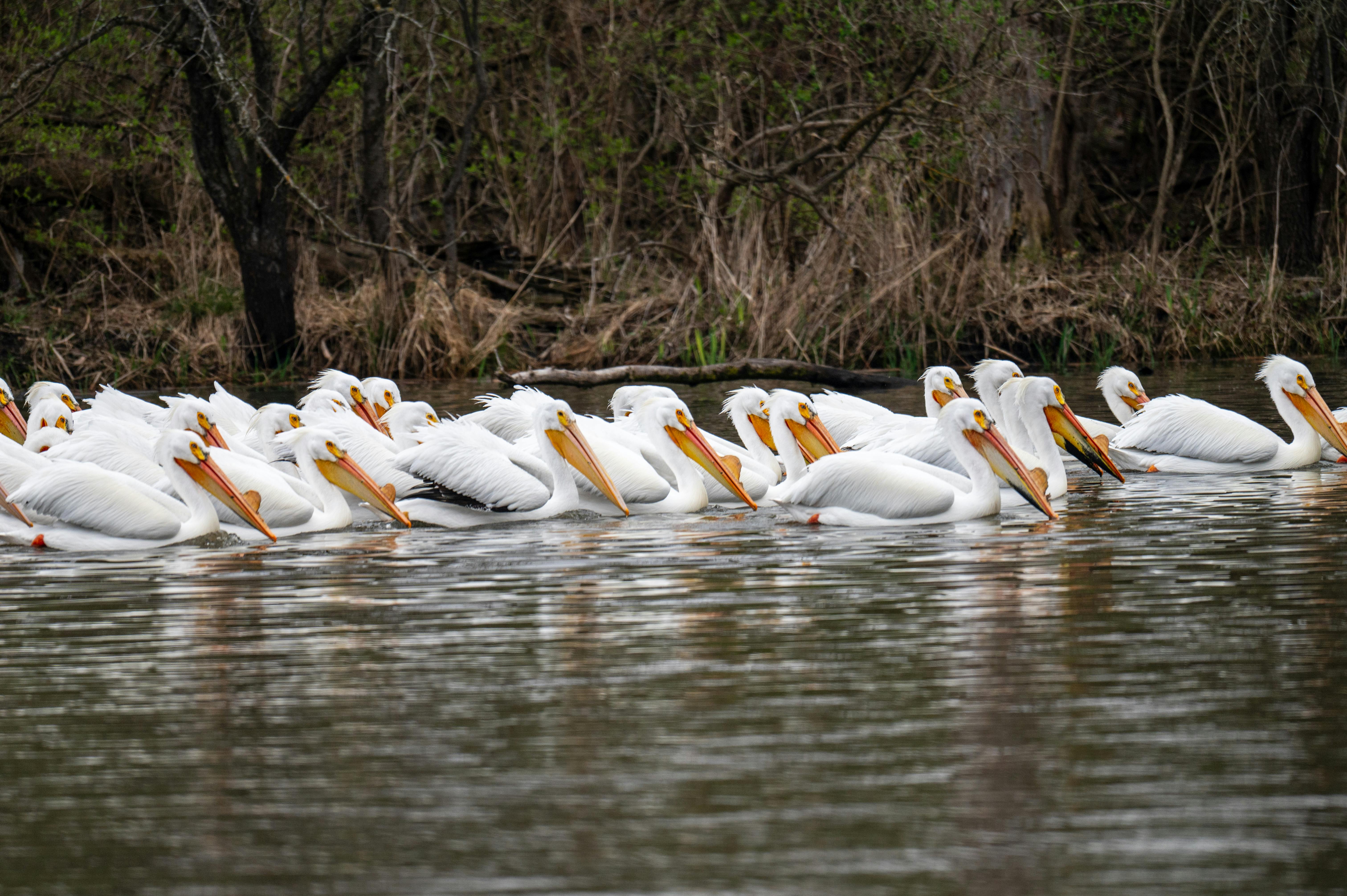 Urbandale amends contract with Flock camera company to improve data transparency — Photo by Mahesh Mohan on Pexels