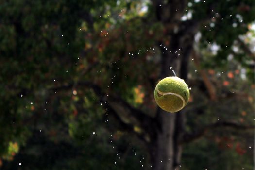 A tennis ball captured mid-air with water droplets against a lush green backdrop, conveying motion and energy.