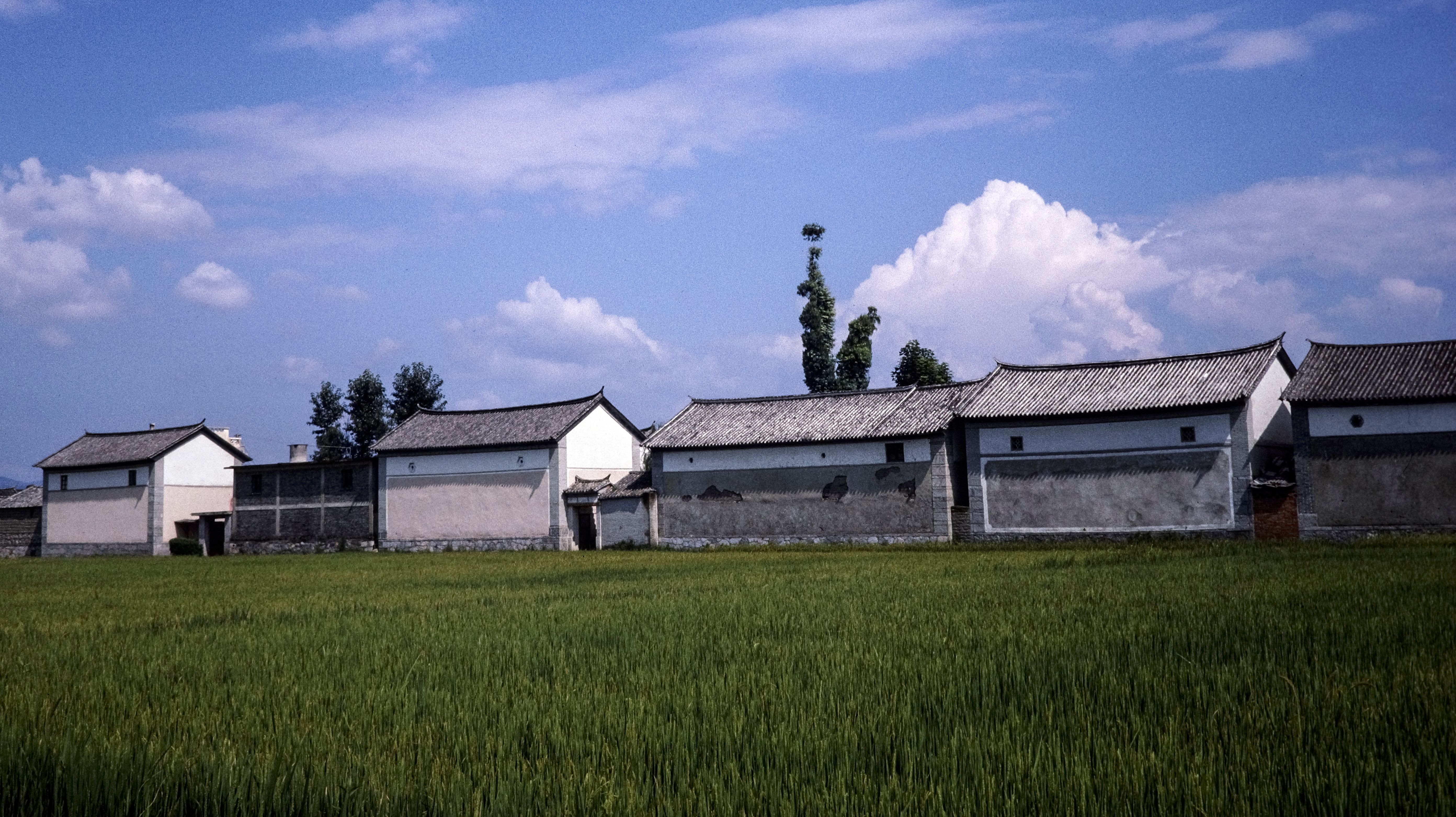 Traditional Rural Architecture in Scenic Field · Free Stock Photo