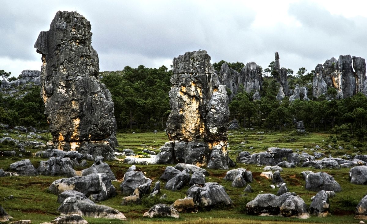 Rolling green karst plateau dotted with grey limestone rock formations