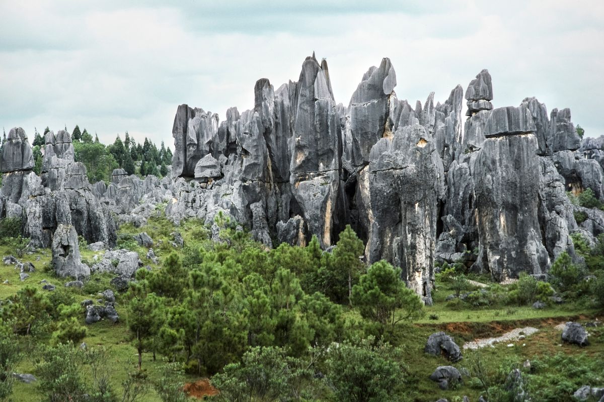 Take a Guided Stone Forest and City Tour