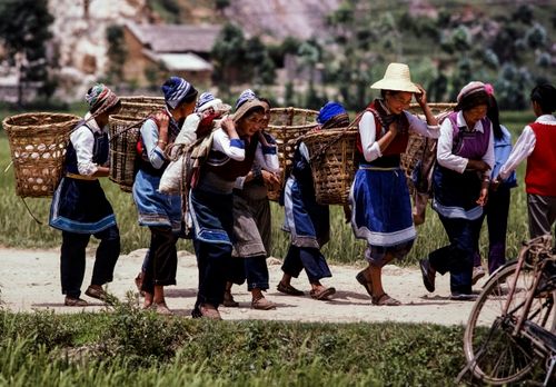 Free A group of women in traditional attire carrying baskets in a rural village setting. Stock Photo