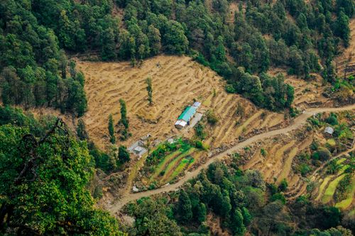 Free Scenic aerial view of terraced fields and forest in Uttarakhand, India. Stock Photo