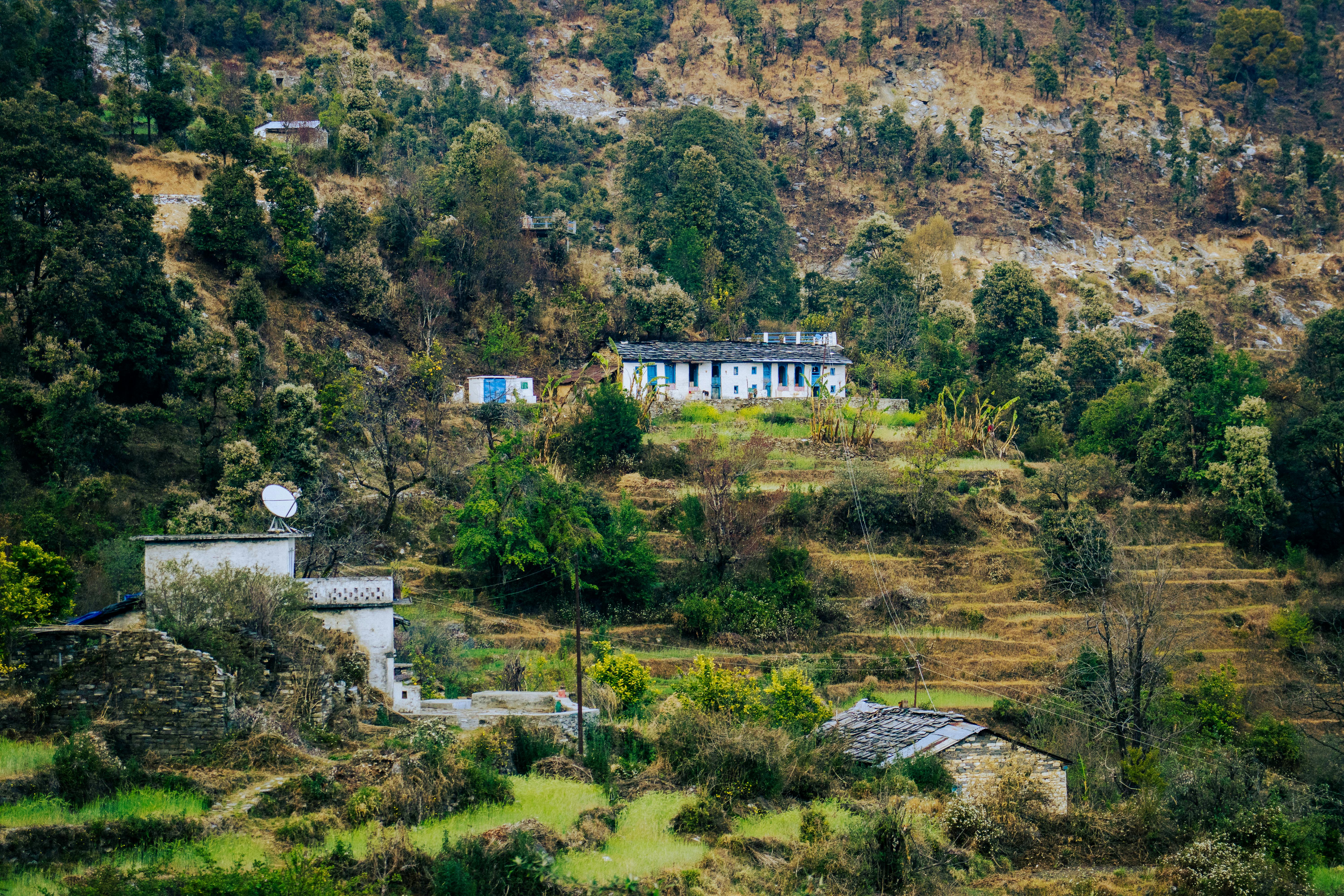 Local guide leading a nature walk in Munsiyari, Uttarakhand, as part of a community-led conservation initiative.