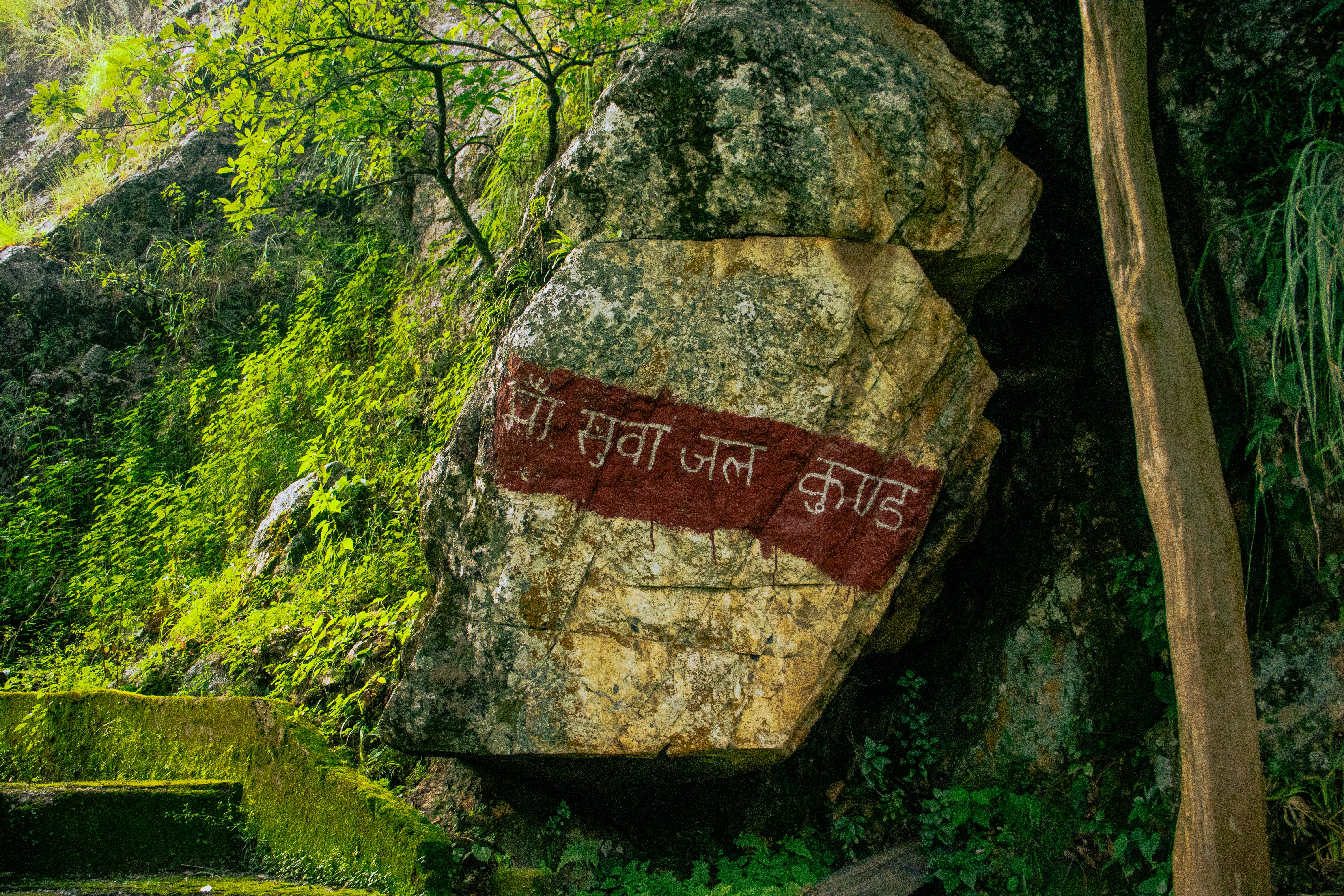 A large rock with Hindi inscription amidst lush greenery in Uttarakhand, India.