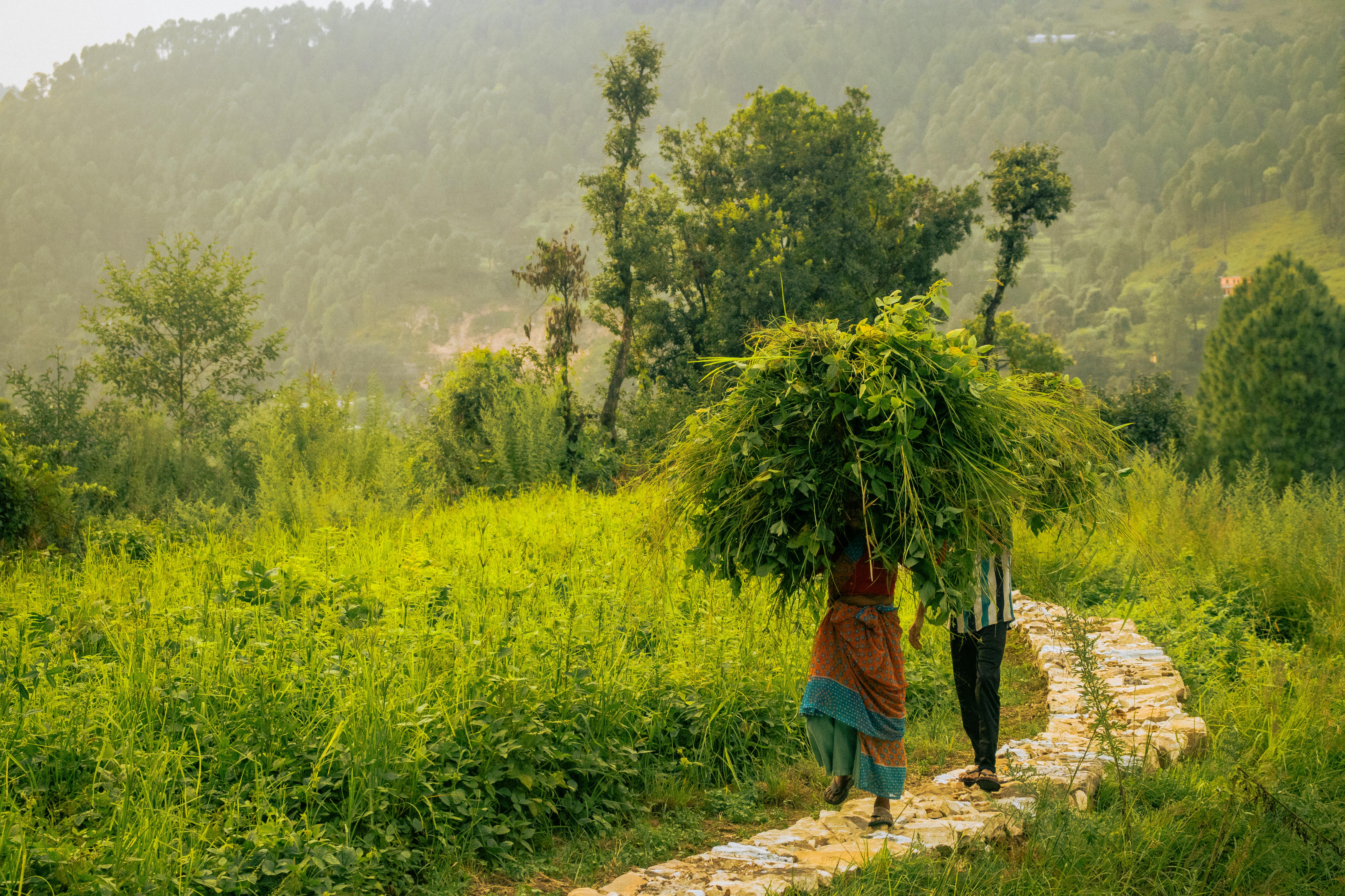 From daily burden to scheduled protection: the “vaccine-like” shift in hypertension - Nature — Photo by miheer tewari on Pexe