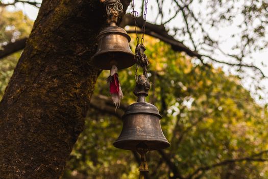 Charming view of traditional hanging bells on a tree in Uttarakhand, India, amidst a serene forest setting.