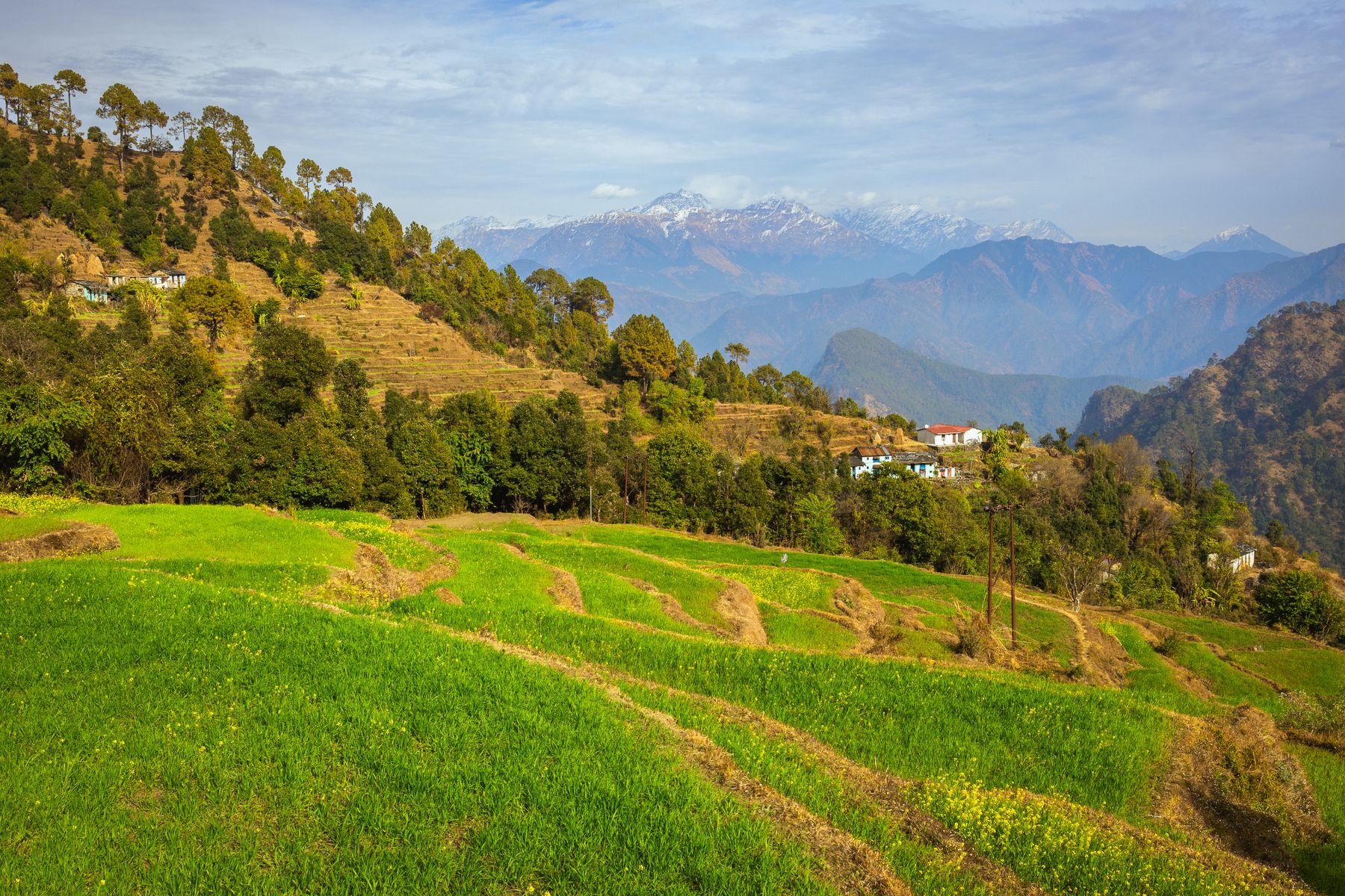 Terraced mountain landscape