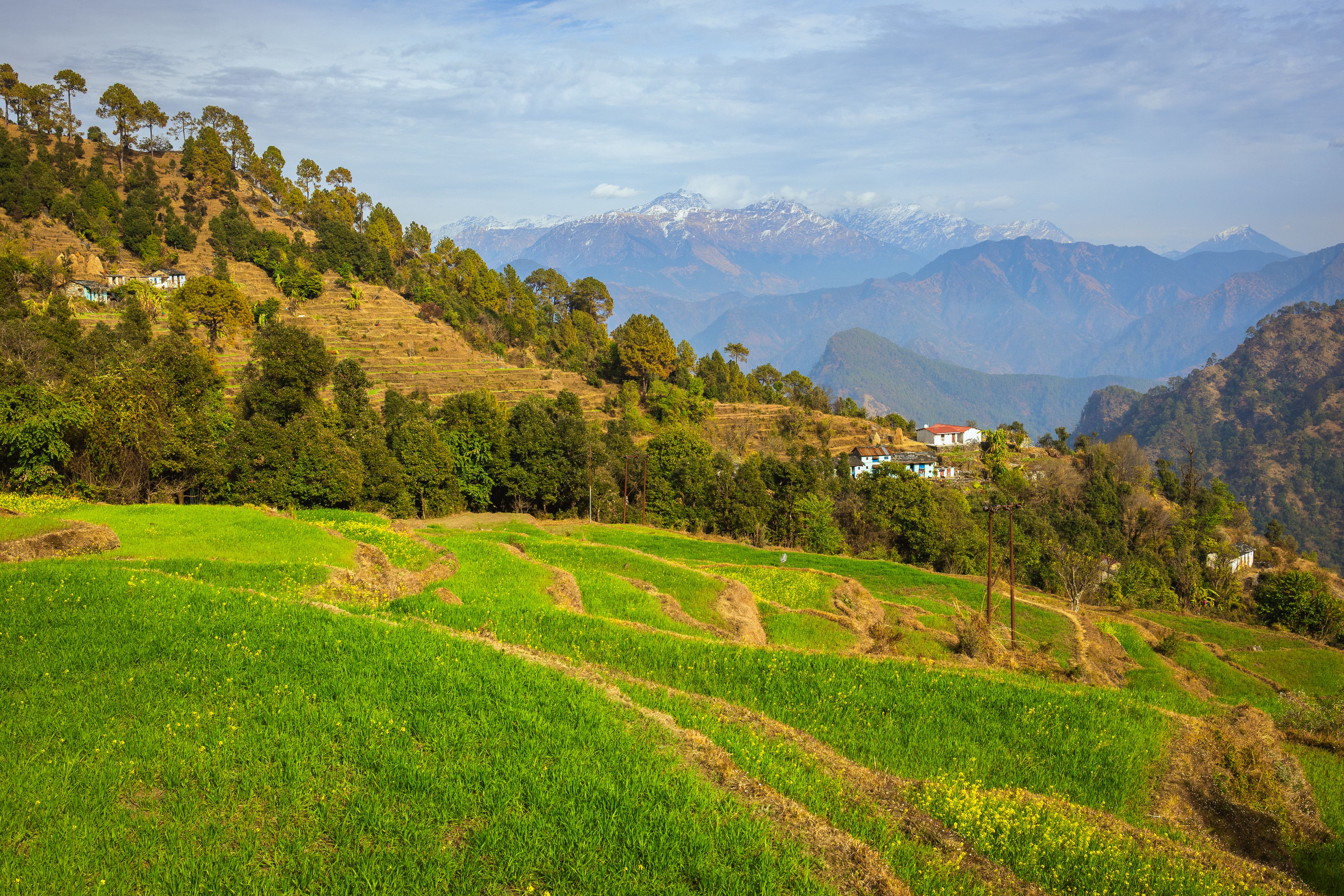 Scenic Landscape of the Himalayas in Uttarakhand · Free Stock Photo
