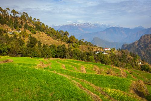Free Lush terraced fields with mountain views, perfect for nature lovers and travelers exploring the Himalayas. Stock Photo