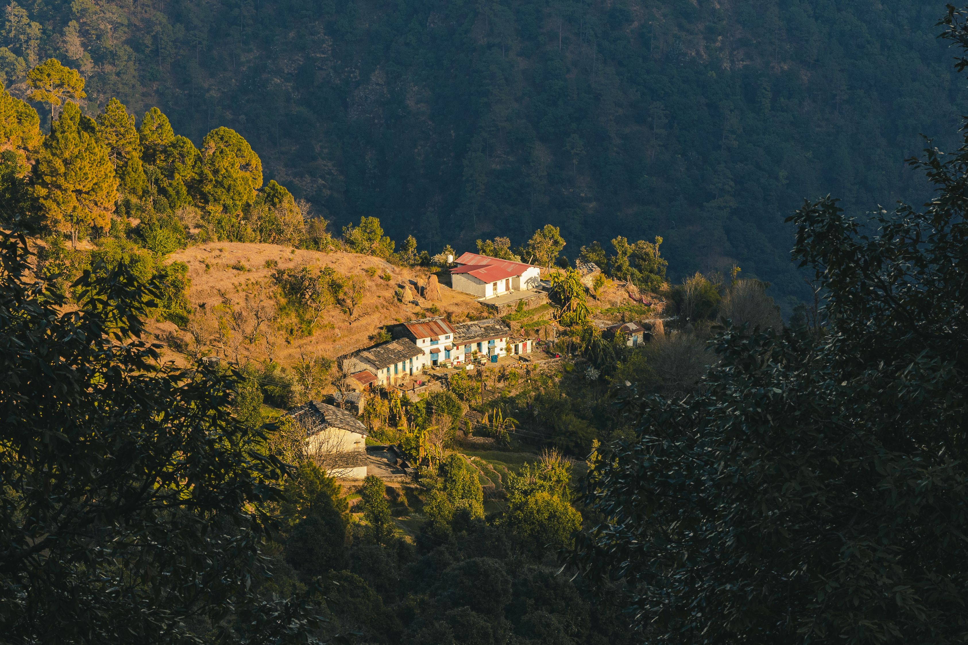 Uttarakhand Atal Ayushman Uttarakhand Yojana 2026 review