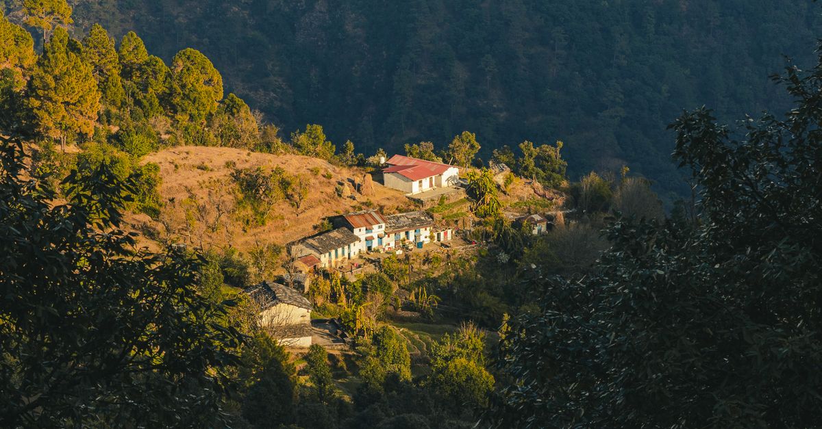 Uttarakhand Atal Ayushman Uttarakhand Yojana 2026 review