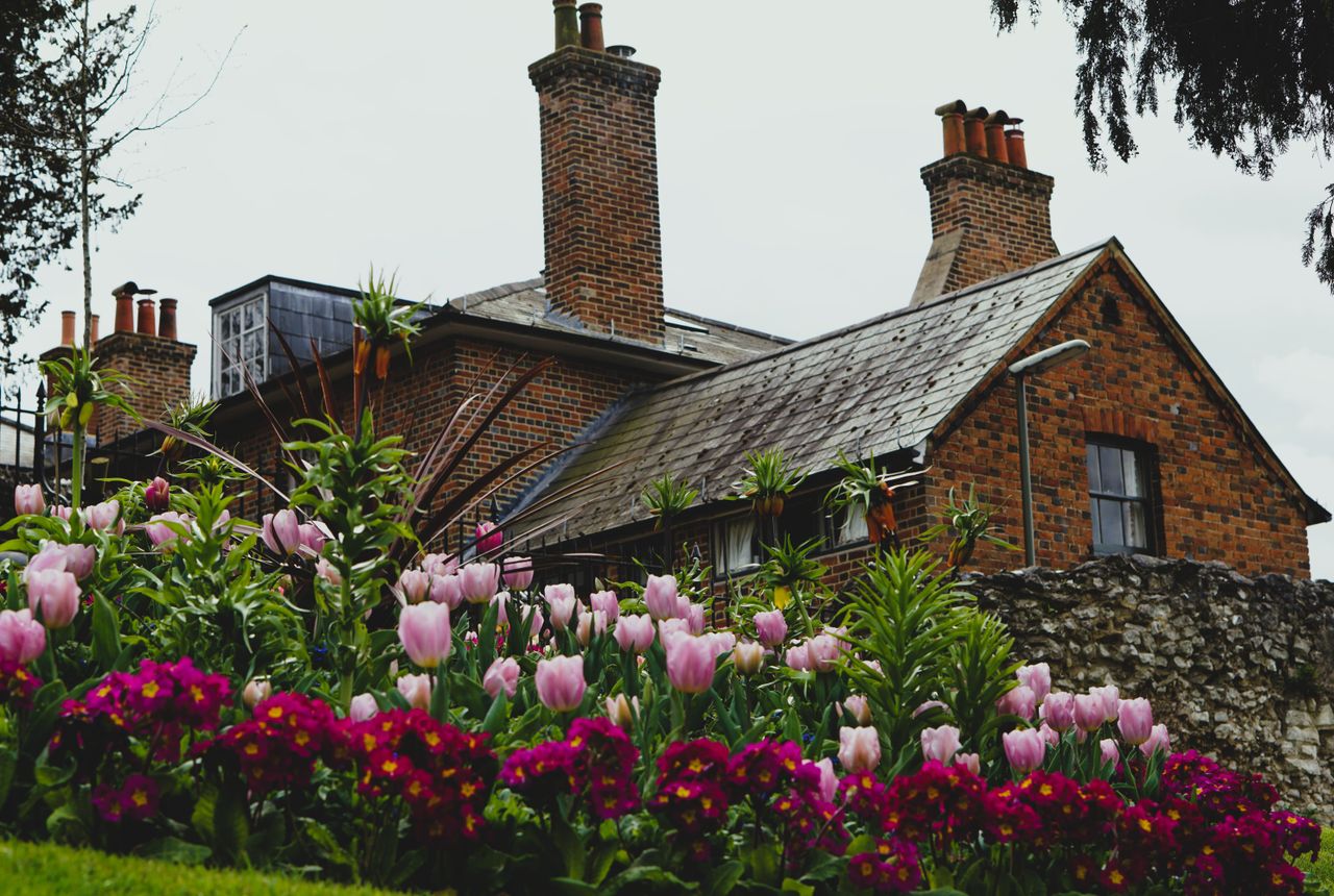 House removals Sidcup — removals work in progress