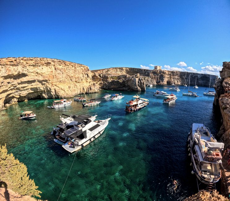 Snorkeling à Comino et lagon bleu