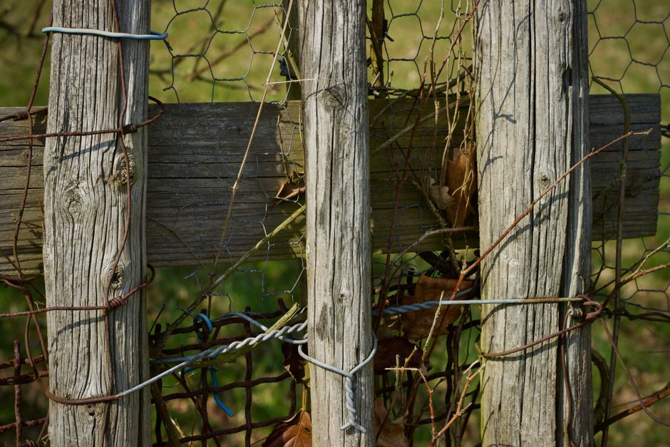 A close-up of a rustic wooden fence bound with wire, showcasing natural textures.