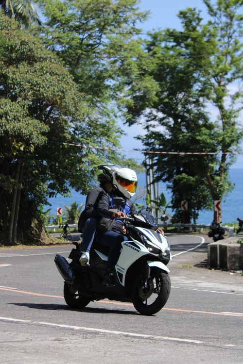 Free A motorcyclist in safety gear rides along a winding coastal road surrounded by lush greenery on a sunny day. Stock Photo