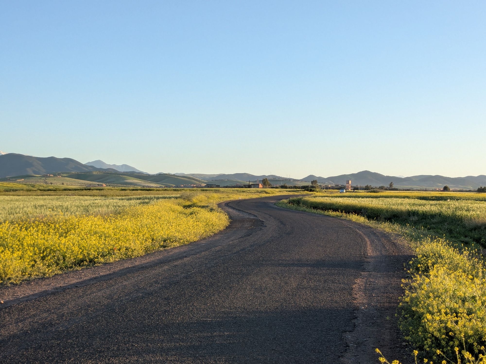 A winding road through yellow fields and mountains in Marrakesh, Morocco, under a clear evening sky.