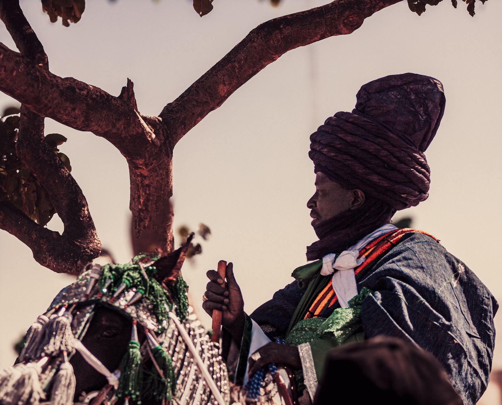 Cheikh Diamanka