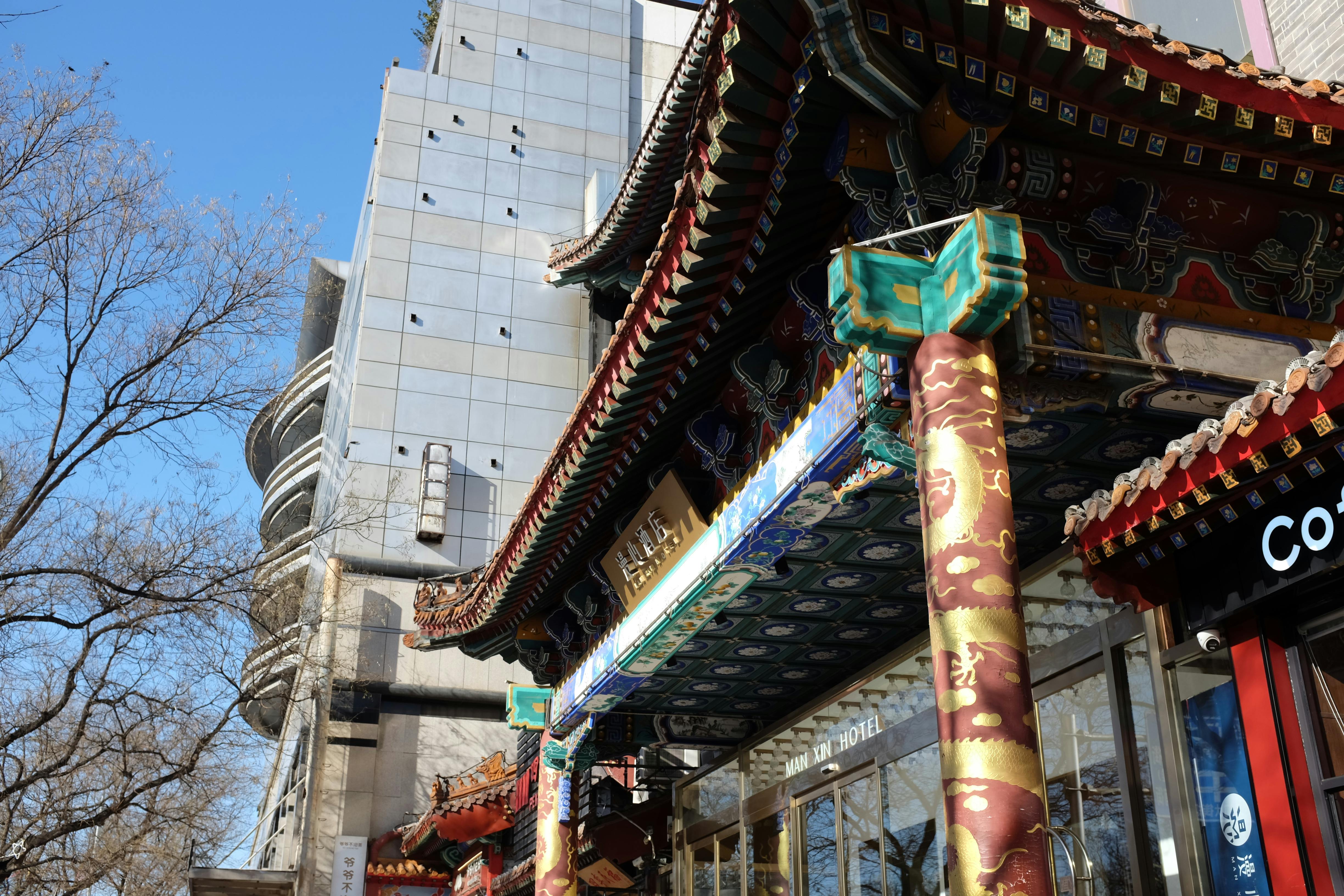 beijing pet technology — Photo by mingche lee on Pexels