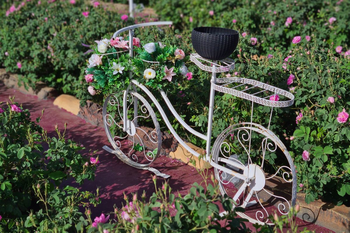 Schluss mit Garten-Langeweile: 7 kreative Sommer-Tricks — Lösungs-Schritt