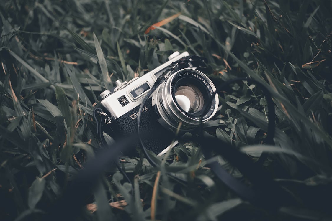 Vintage Camera Op Groen Gras