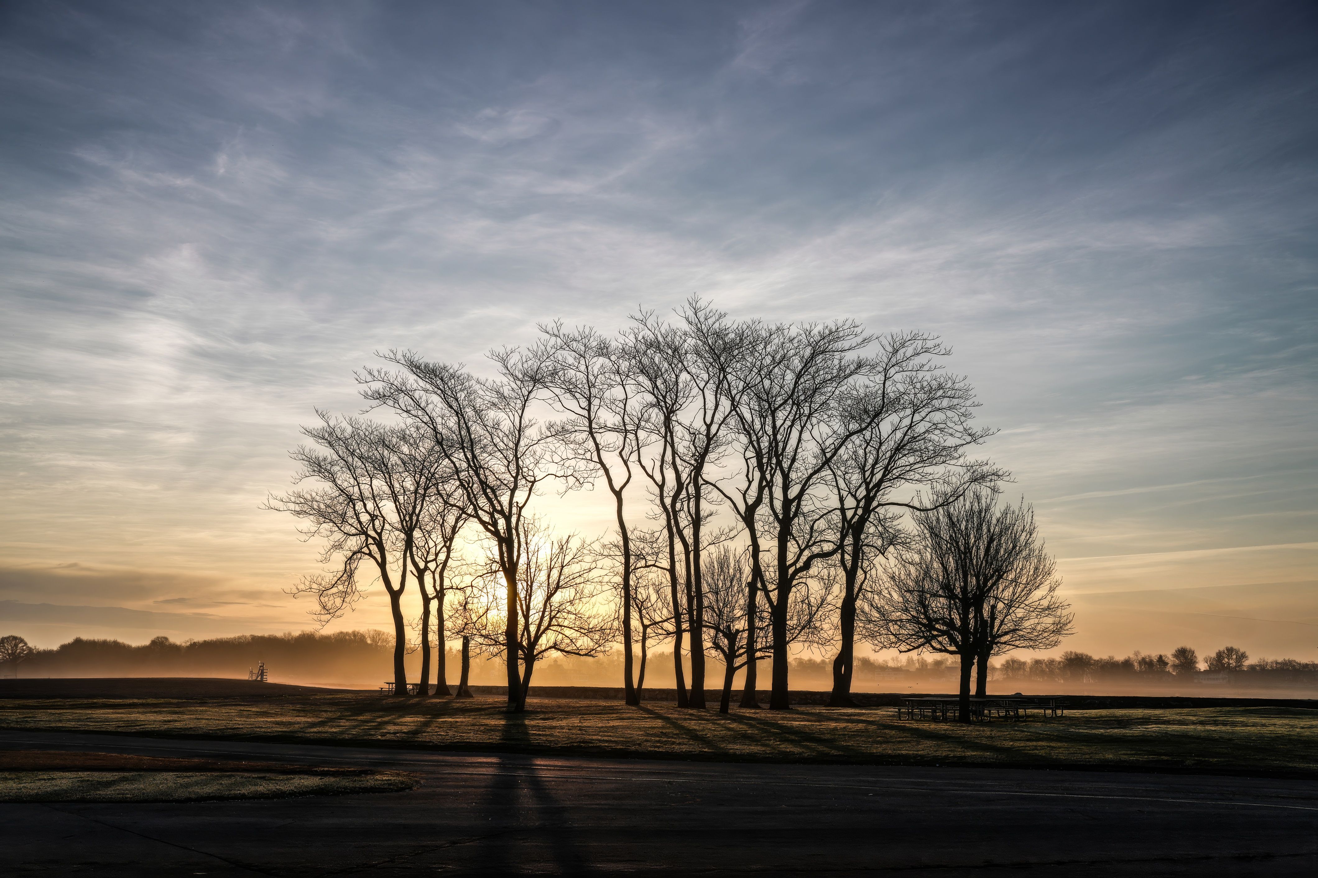 Serene Sunrise Through Winter Trees · Free Stock Photo