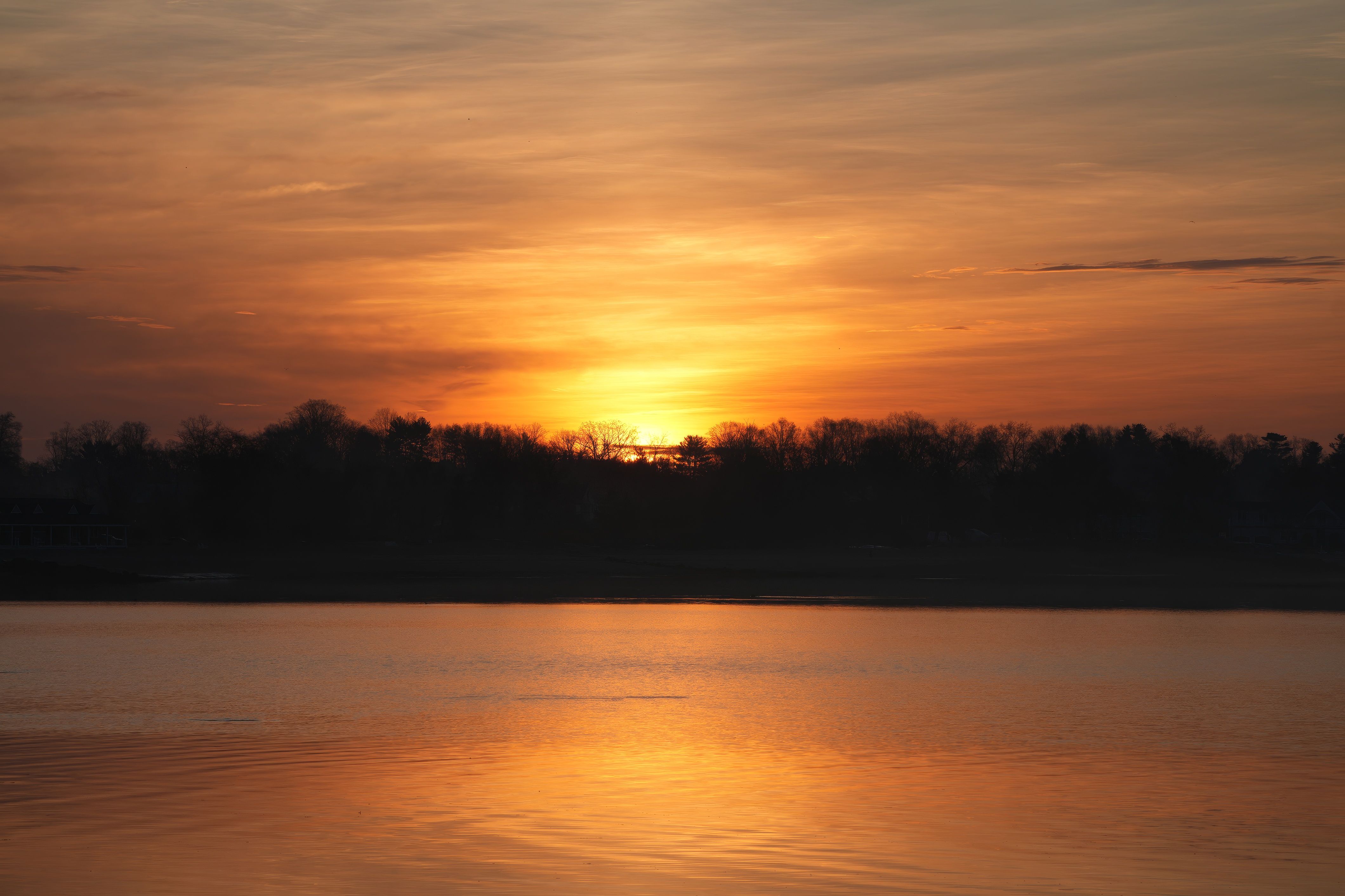 Stunning Sunset Over Calm Lake with Silhouettes · Free Stock Photo