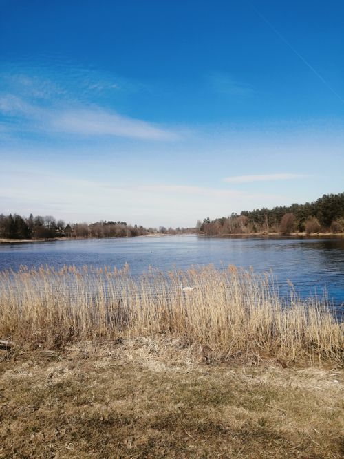 Free Tranquil lakeside landscape with clear blue sky and calm waters. Stock Photo
