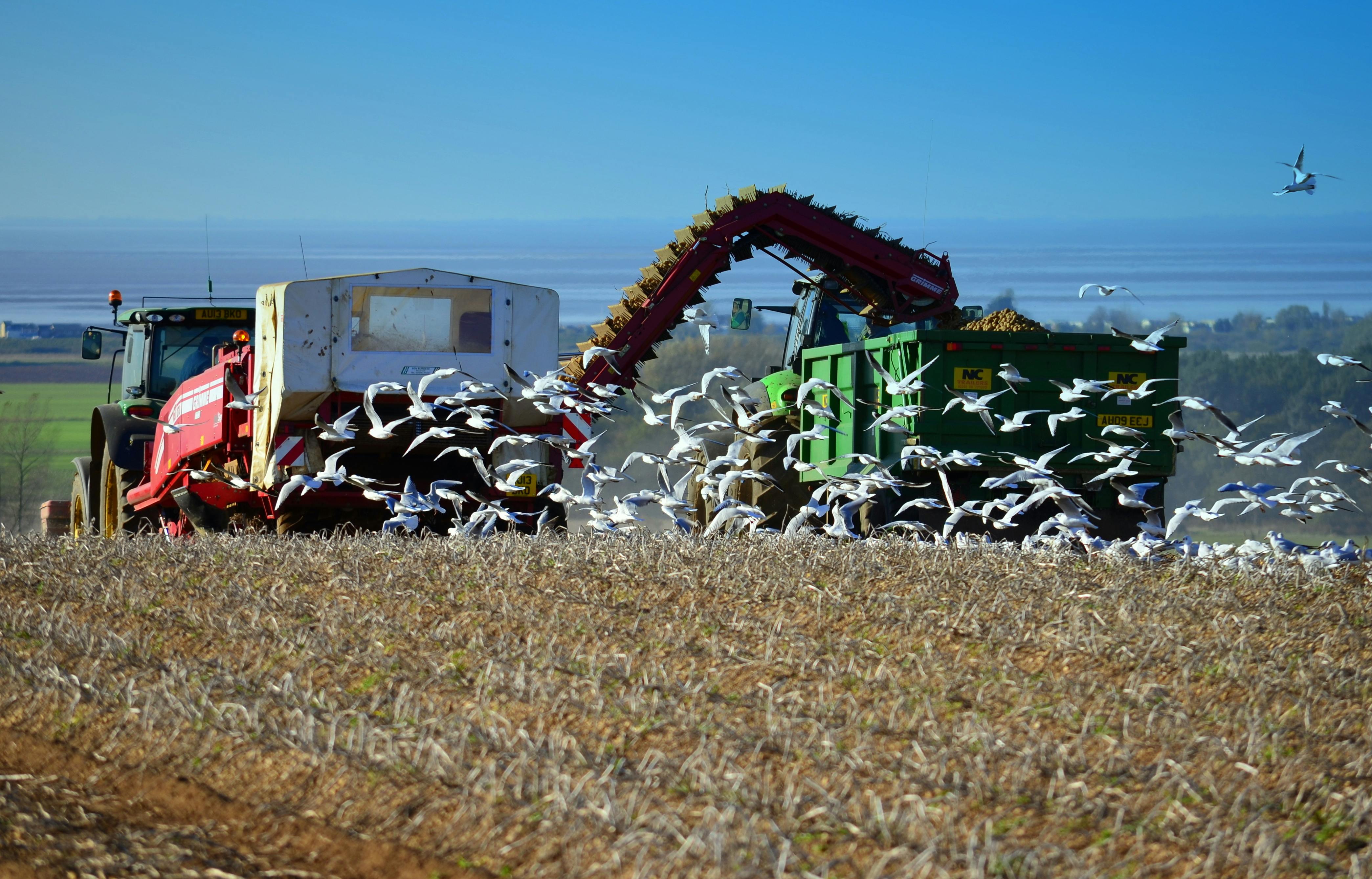 Flock launches haulage fleet insurance backed by Admiral — Photo by Neville Hawkins on Pexels