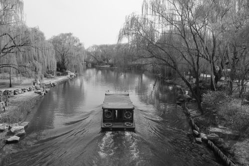 Free A peaceful black and white scene of a boat navigating a quiet river lined with trees. Stock Photo