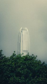 IFC Tower partially obscured by fog with trees in the foreground, creating a mystic urban scene.