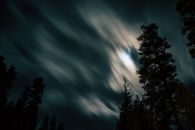 夜空平静而宁静，映衬着树木和云彩的剪影