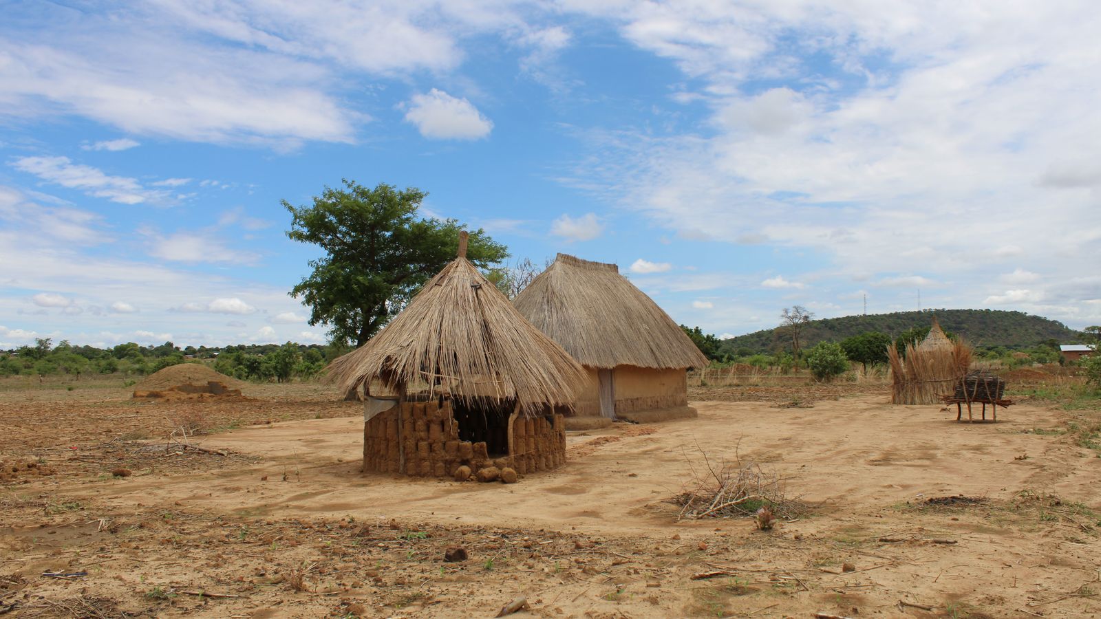 Traditional thatched huts in rural zambia landscape