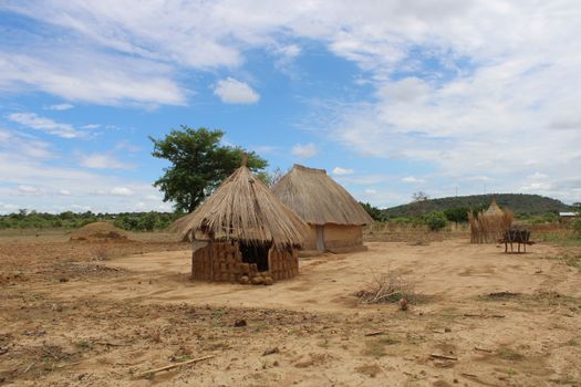 Vue pittoresque de huttes traditionnelles au toit de chaume dans la campagne zambienne, sous un ciel dégagé et au milieu de la verdure.