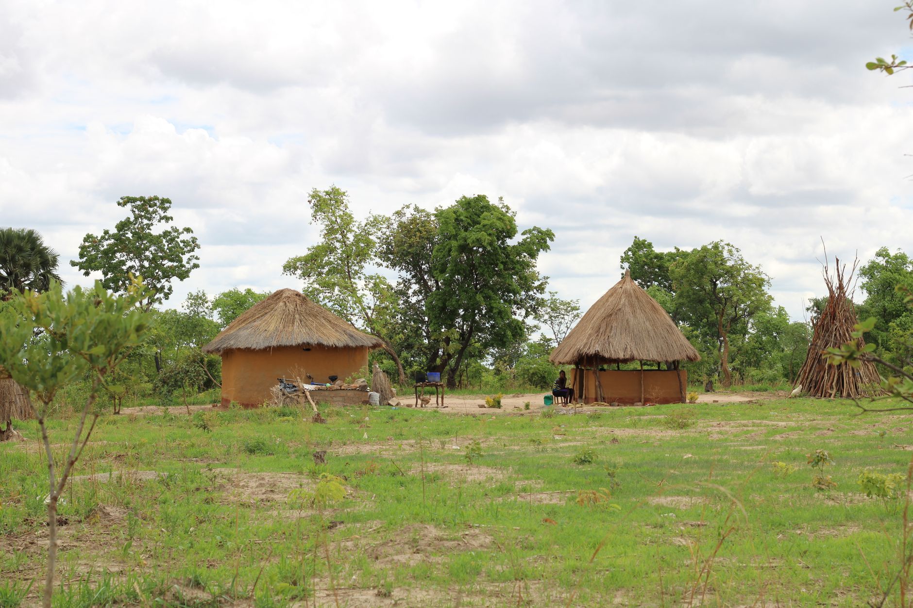 Rustic thatched huts in the lush greenery of rural Zambia, captured on a bright day.