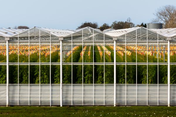 Greenhouses & Agri Covers
