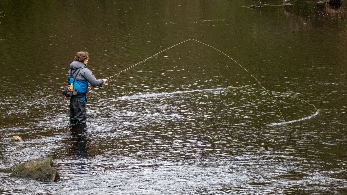 An angler casting on the River Nidd at Knaresborough, England