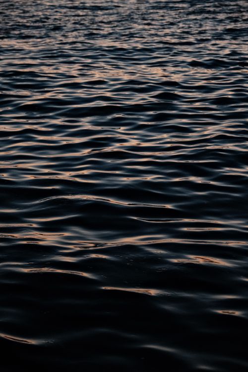 Free Peaceful sea waves reflecting twilight light, capturing tranquility and natural beauty. Stock Photo