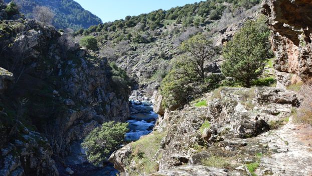 Explore the rugged beauty of a rocky gorge in Asco, Corse, France.