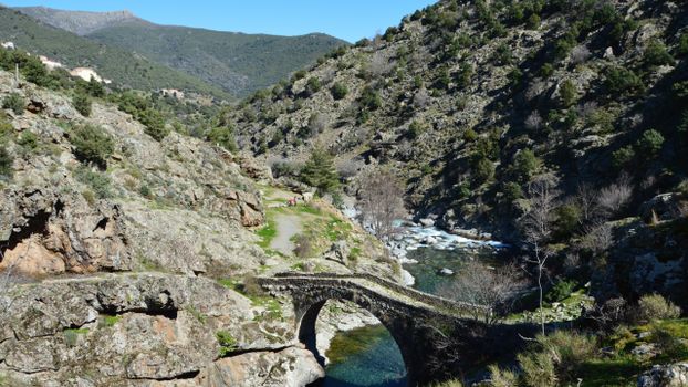 Idyllic spring landscape with ancient Genoese bridge in Asco, Corse, France.