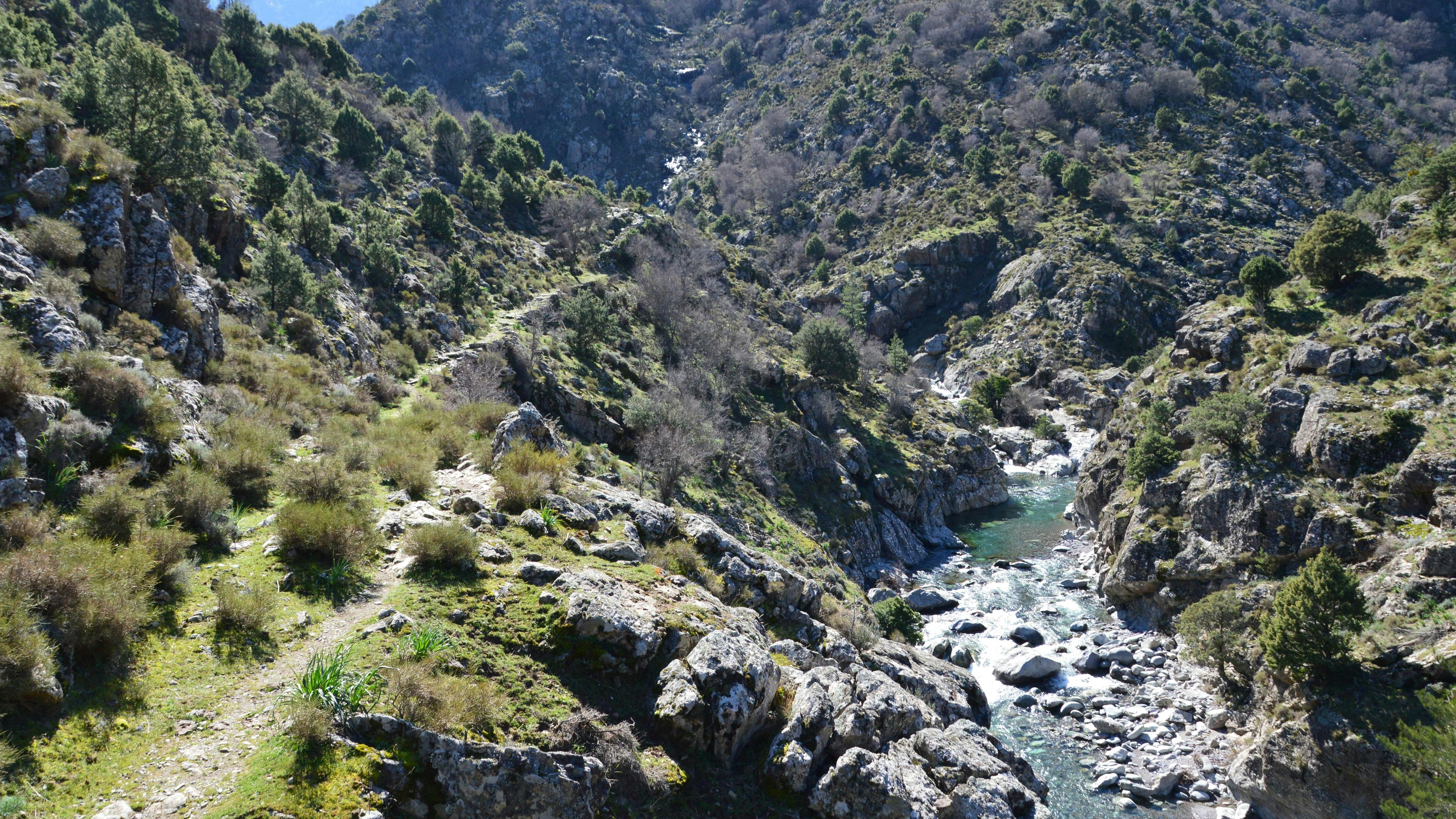 免費 法國科西嘉島阿斯科，岩石河谷景色優美，綠樹成蔭，流水潺潺。 圖庫相片