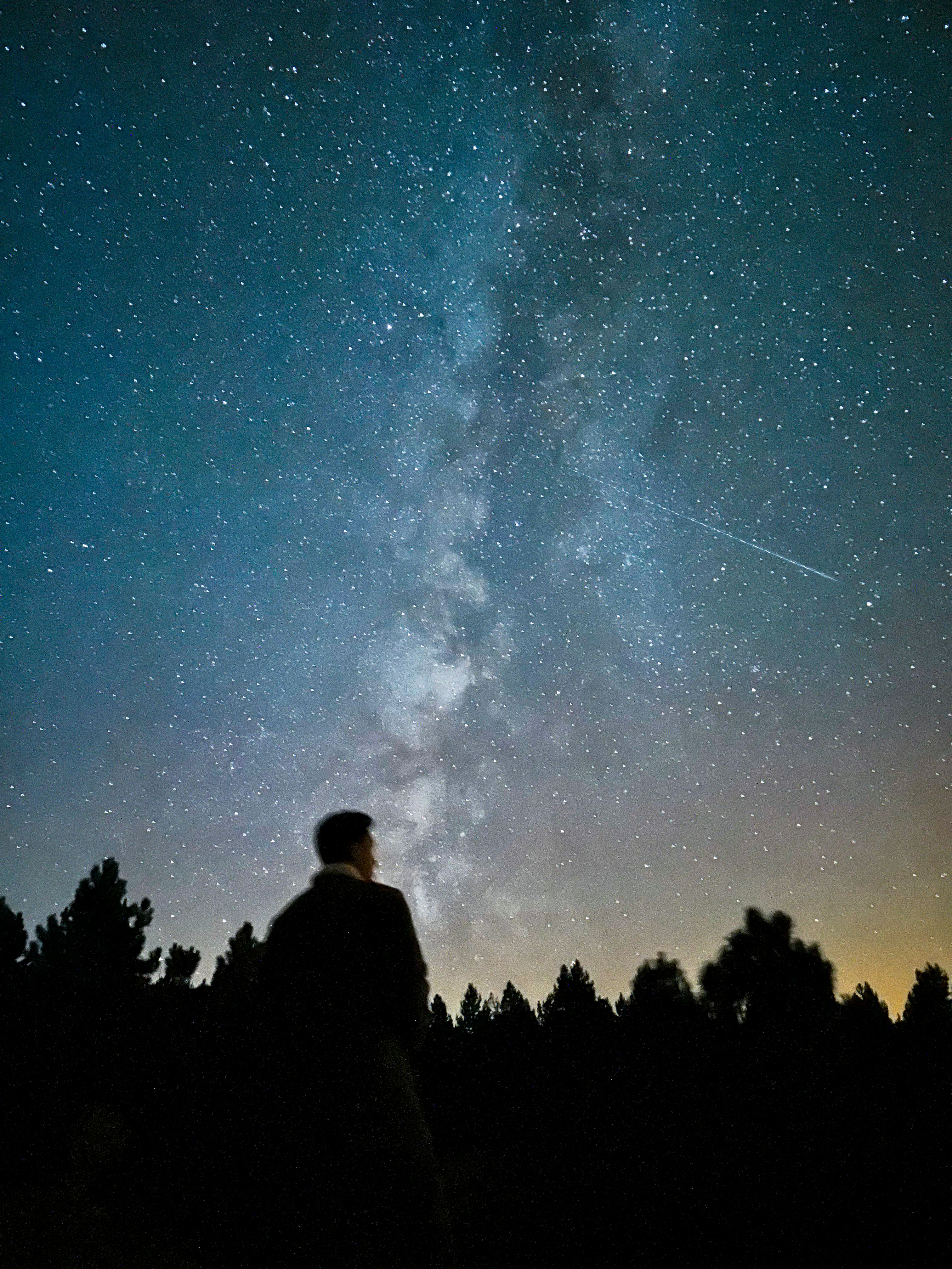 people watching meteor shower dark open field