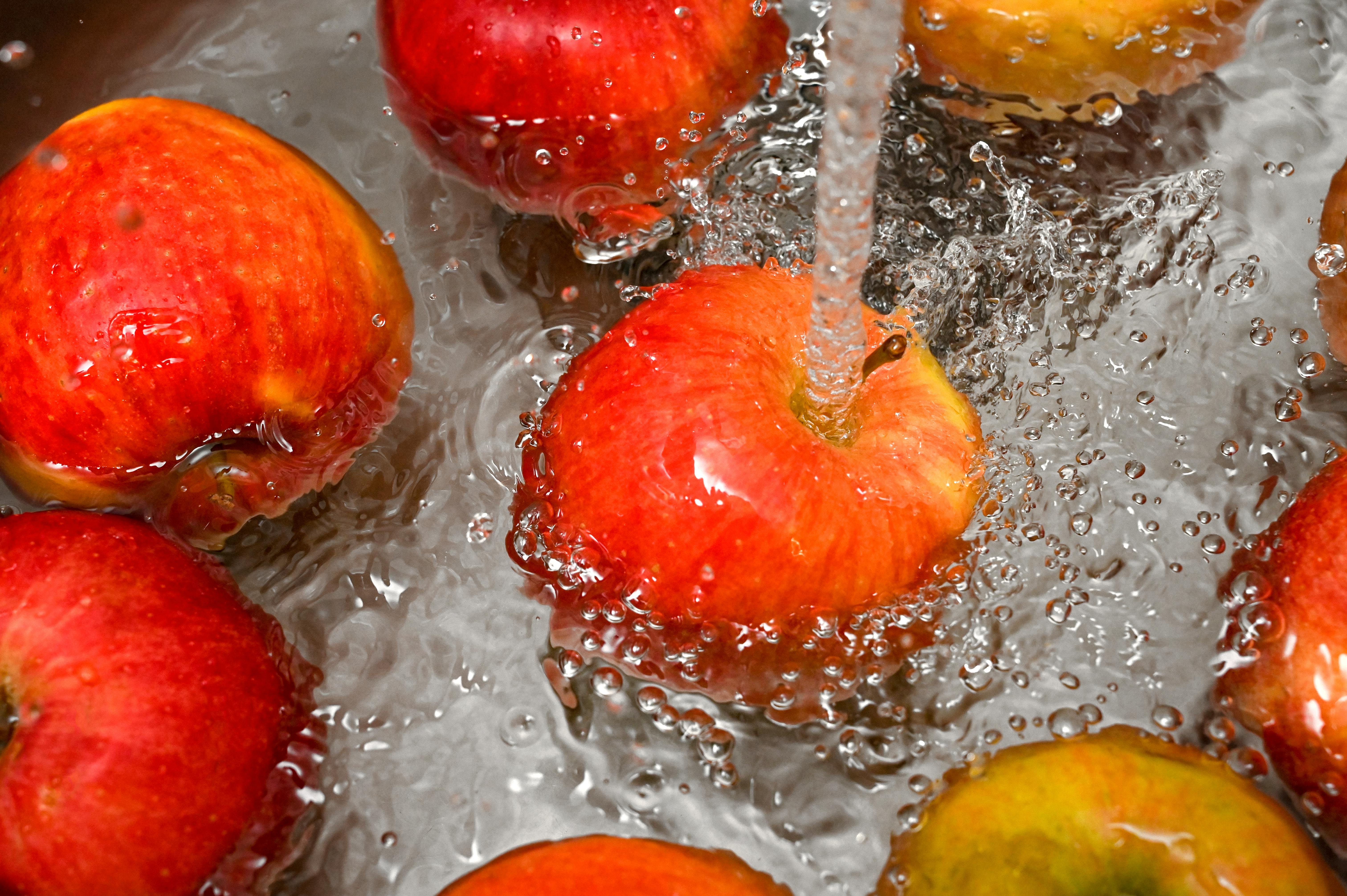 Global Feature: Apple Learning Coach Program — Photo by Adonyi Gábor on Pexels